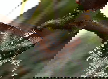 游泳馆管理与维护